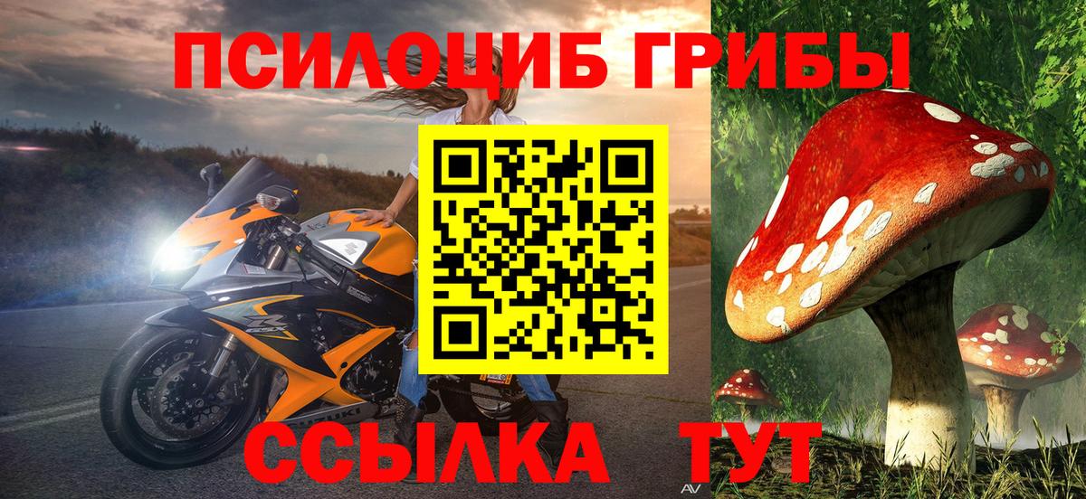 Псилоцибиновые грибы Psilocybe  наркошоп  Первоуральск  Вход с VPN 